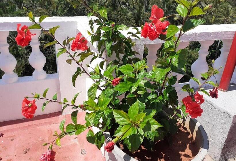 Bed and Breakfast Holi Wood Guesthouse