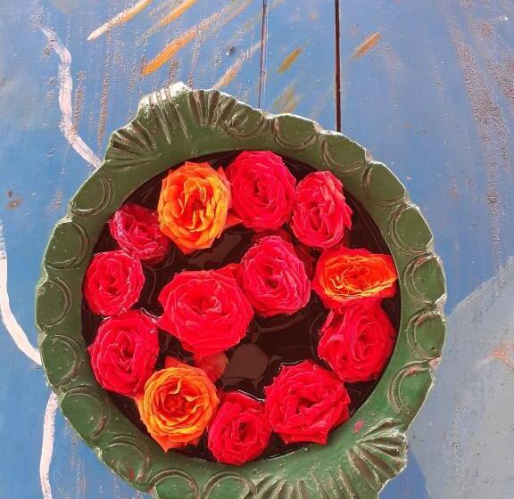 Bed and Breakfast Holi Wood Guesthouse