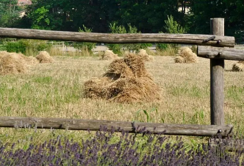 ベッドアンドブレックファースト Le Macine Relais