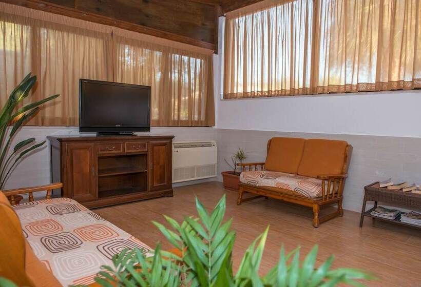 ホテル Albergo Torrente