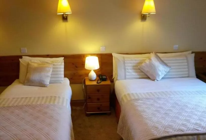 تختخواب و صبحانه Ballyraine Guesthouse