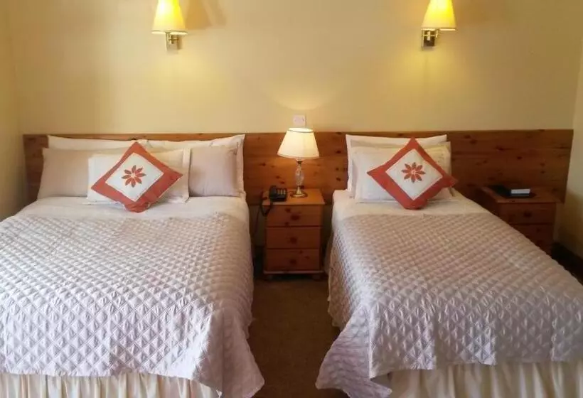 تختخواب و صبحانه Ballyraine Guesthouse