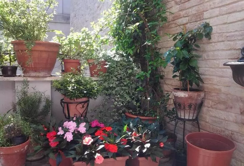 Aamiaismajoitus (B&B) Il Covo Dei Piccioni