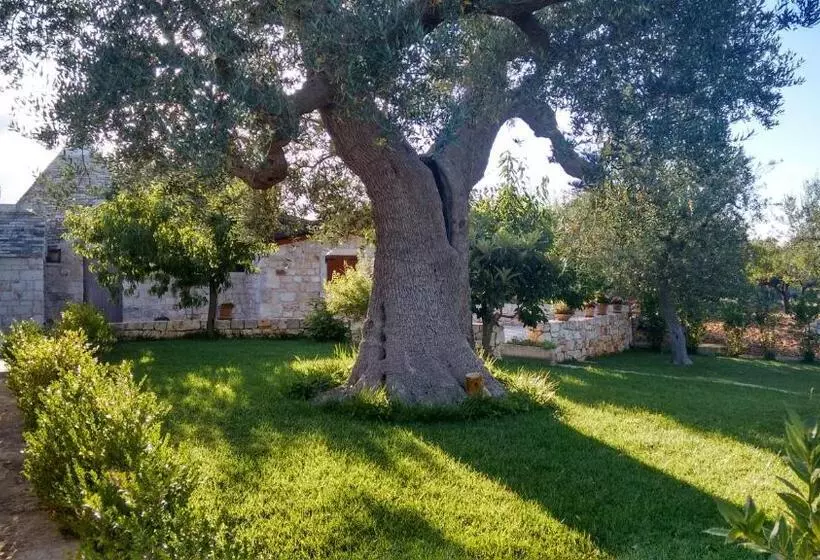 تختخواب و صبحانه Il Giardino Degli Ulivi