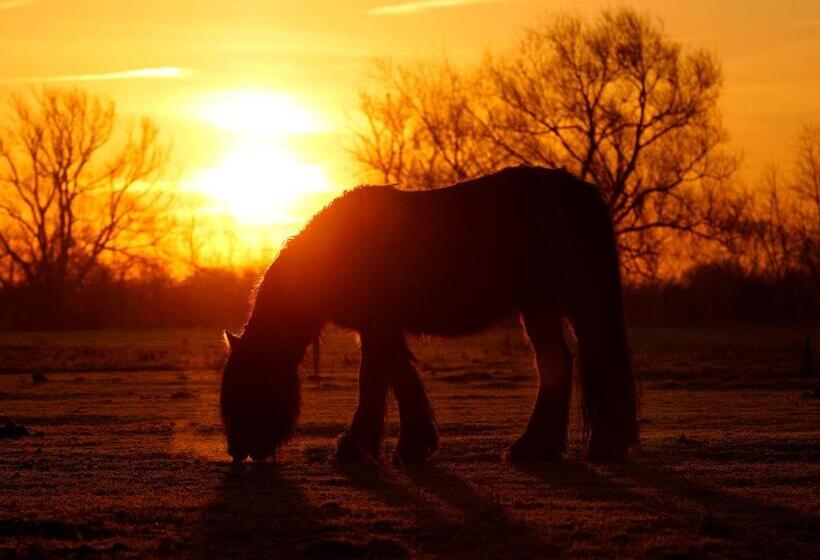 酒店 Relais Black Horse