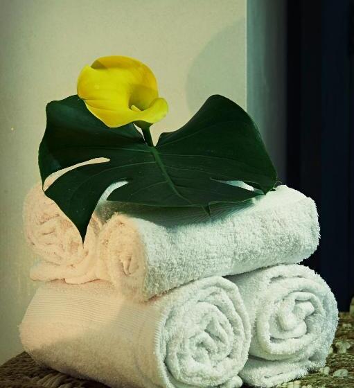 تختخواب و صبحانه Aleksandr