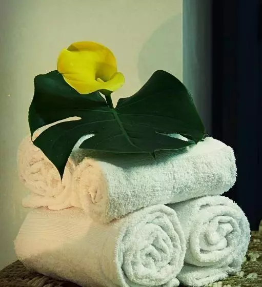 تختخواب و صبحانه Aleksandr