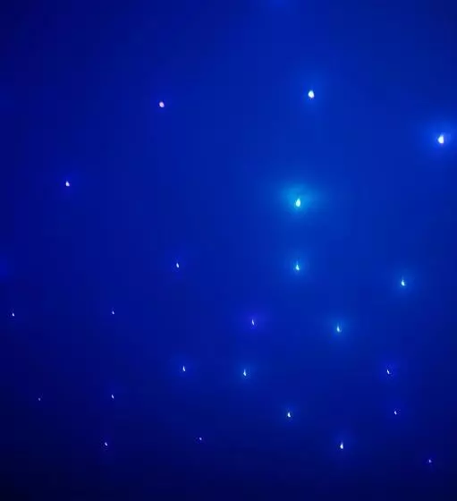 تختخواب و صبحانه Aleksandr