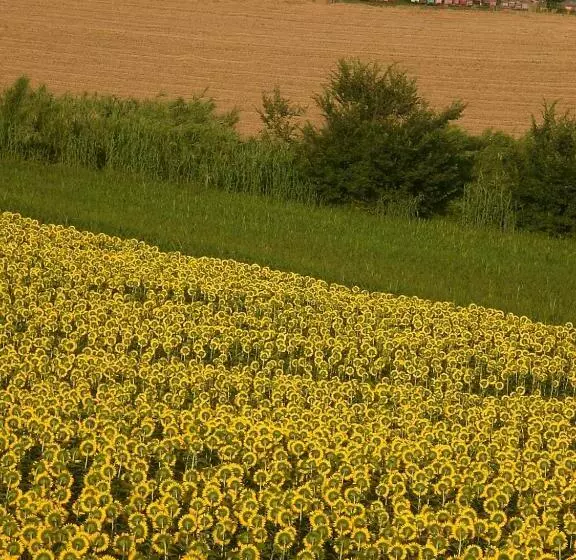 Aamiaismajoitus (B&B) I Ciliegi