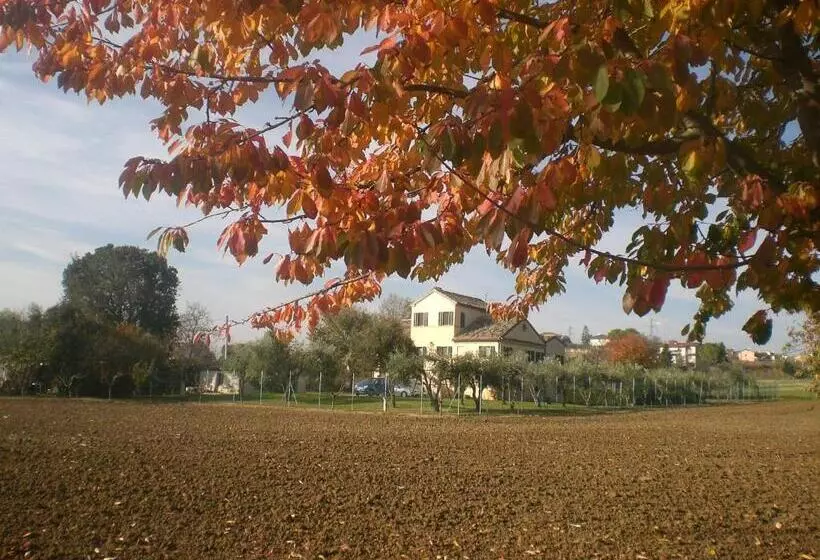 Aamiaismajoitus (B&B) I Ciliegi