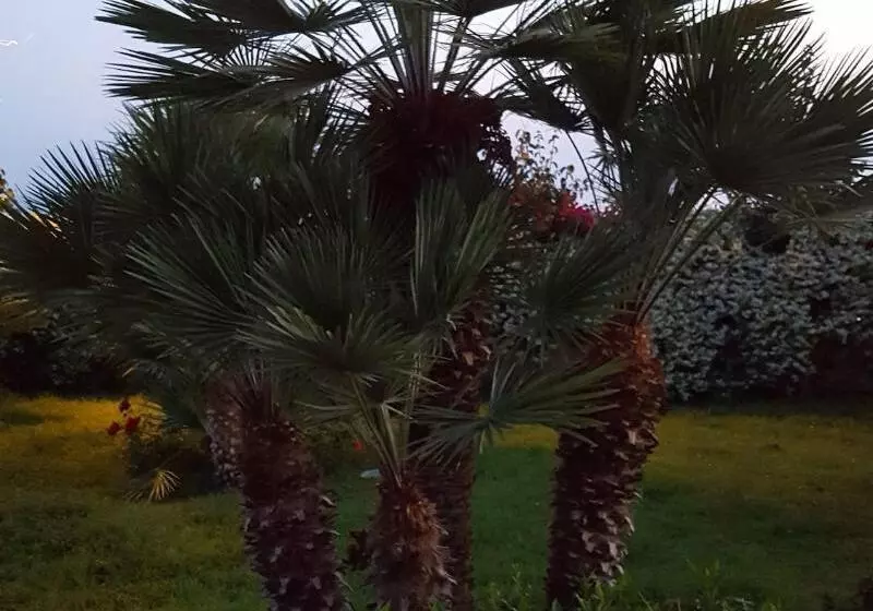 تختخواب و صبحانه La Suite Del Faro