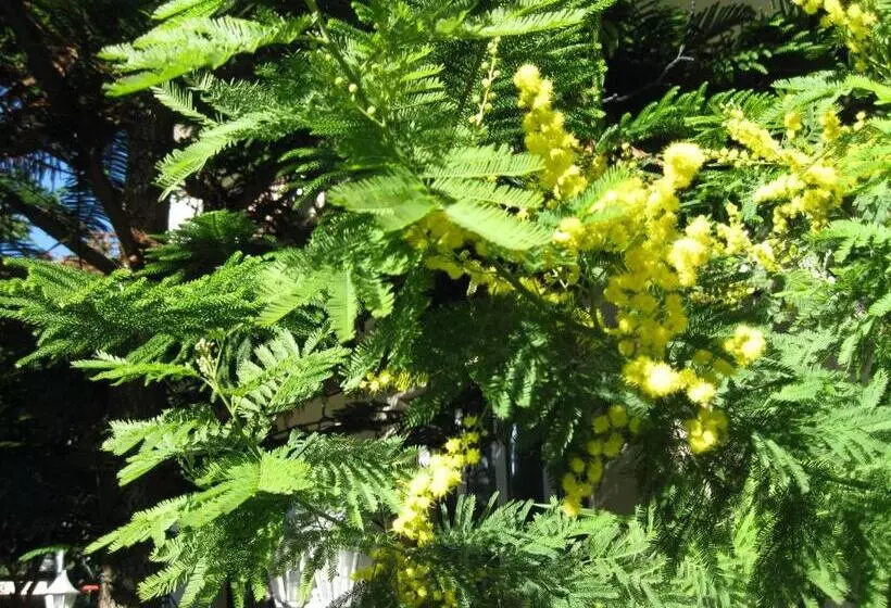 ホテル Acqua Marina