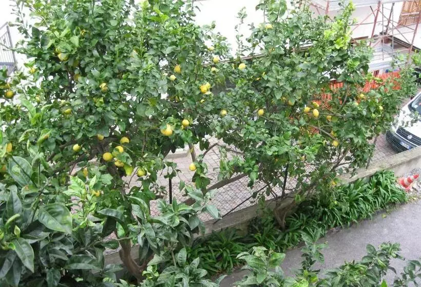 ホテル Acqua Marina