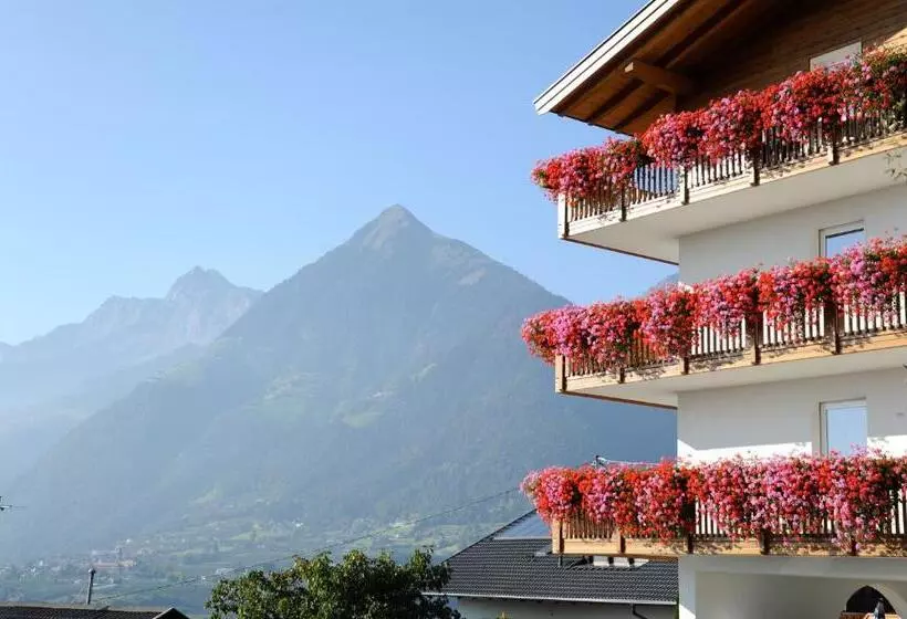 ホテル Pension Höfler   Fernblick