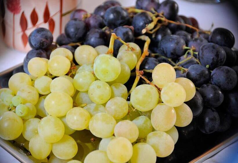 בית מלון כפרי Pension Höfler Fernblick