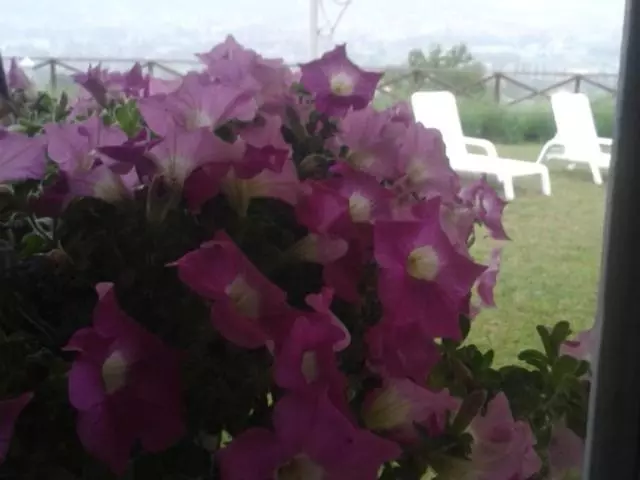 B&b Fonte Cugno