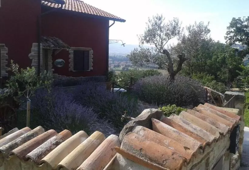 B&b Fonte Cugno
