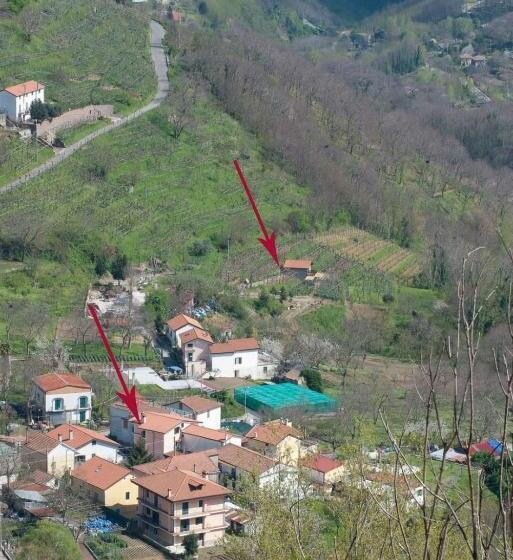 住宿加早餐  Agriturismo Il Tintore