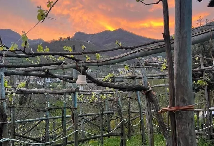 Aamiaismajoitus (B&B) Agriturismo Il Tintore