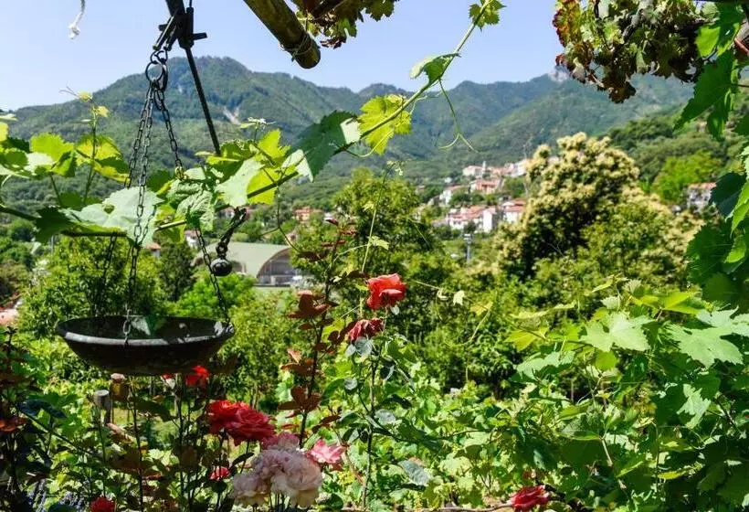 Aamiaismajoitus (B&B) Agriturismo Il Tintore