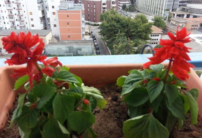 ベッドアンドブレックファースト Al Chiaro Di Luna