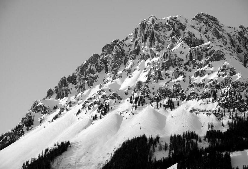 住宿加早餐  Pension Mirabelle