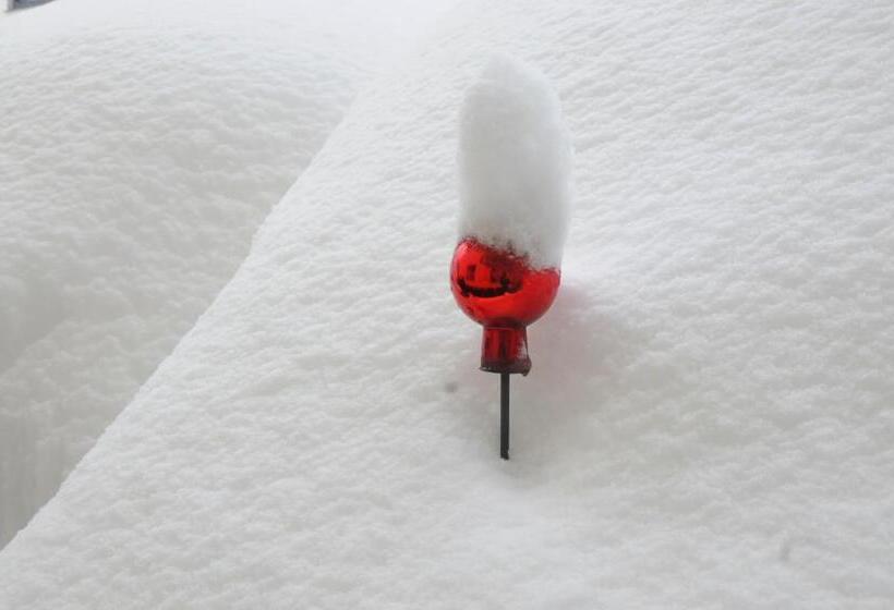 住宿加早餐  Pension Mirabelle