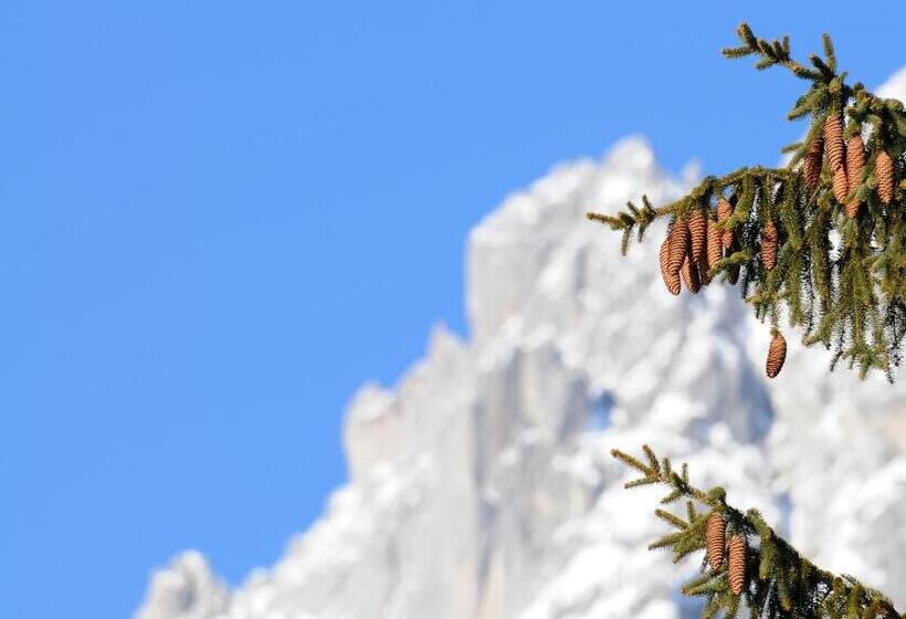 住宿加早餐  Pension Mirabelle