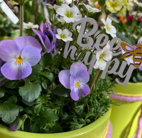 住宿加早餐  Pension Mirabelle