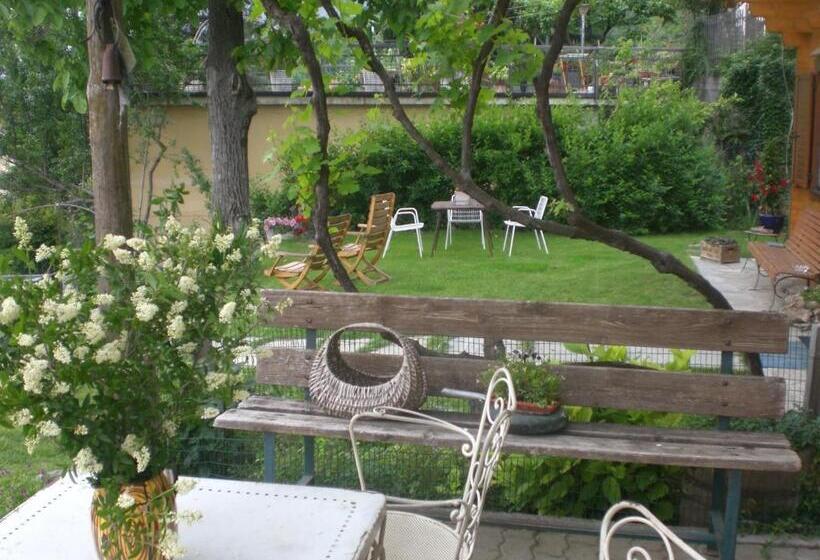 Bed and Breakfast Pera Rionda