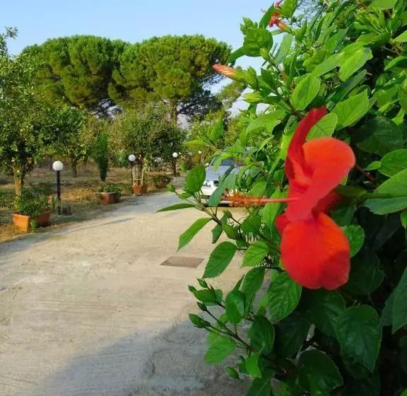 Green B&b Il Bracco