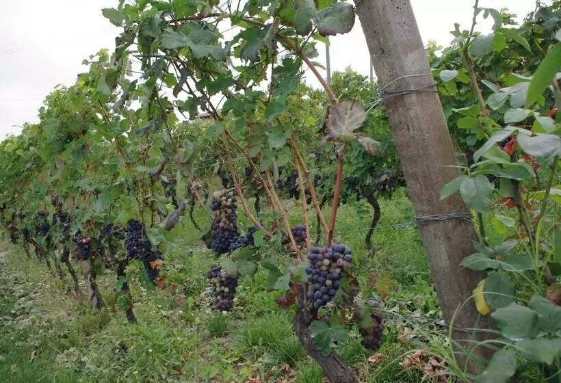 Naturalmente Wine Resort
