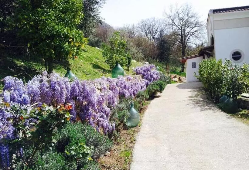 Aamiaismajoitus (B&B) Il Maniero