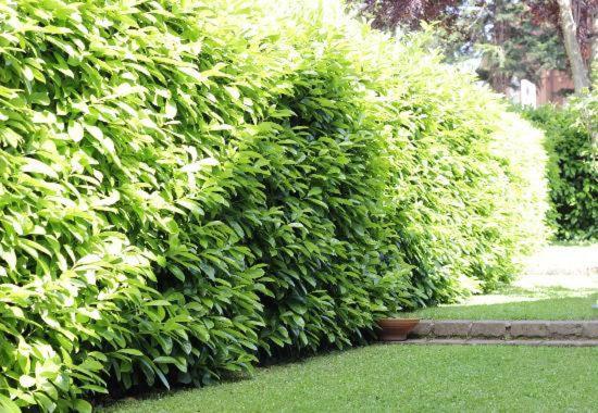 مبيت وإفطار La Casa Di Muro