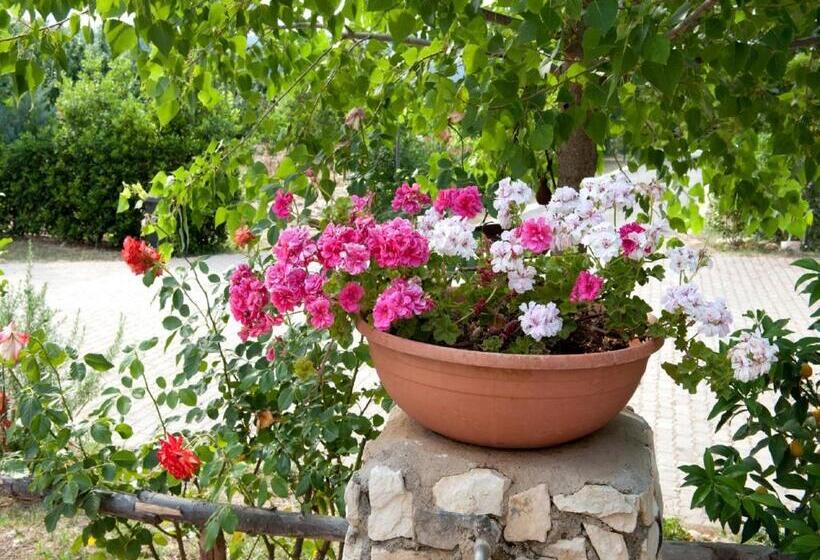 צימר La Formichina