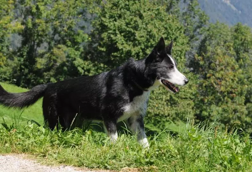 Hotelli Der Brunnerhof