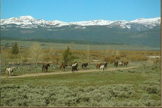 אתר נופש Parade Rest Ranch