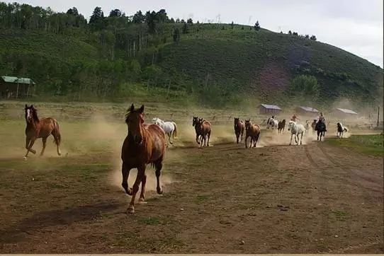 Lomakeskus Parade Rest Ranch