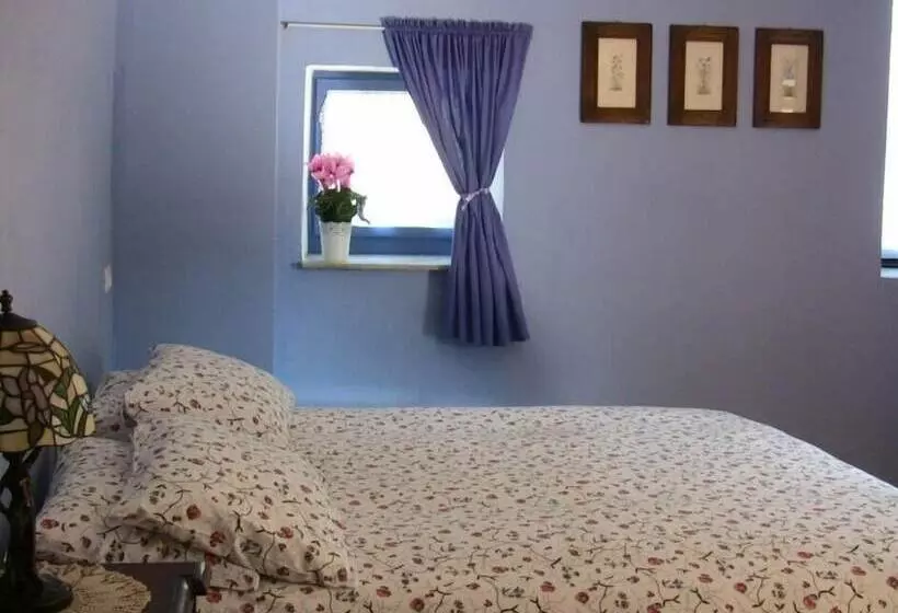 Aamiaismajoitus (B&B) La Corte Di Alzo