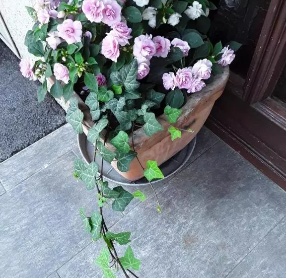 Gästehaus Kuchernig