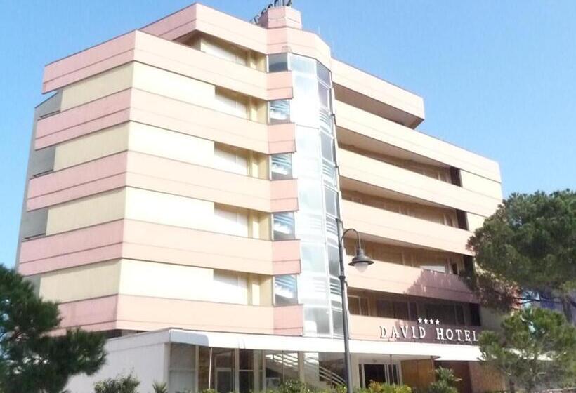 فندق David
