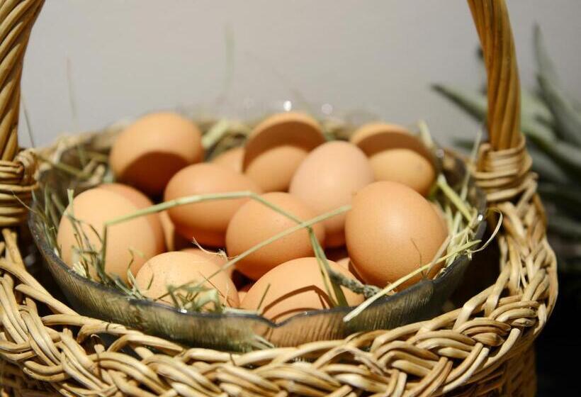 Отель Oberlechner