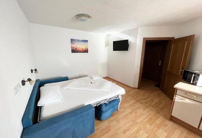 酒店 Residence Vajolet San Cassiano