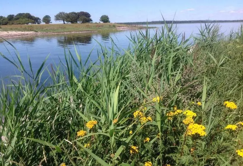 Dyrlev Bed & Breakfast