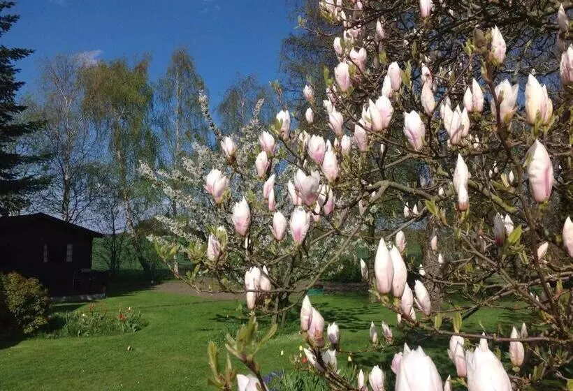 Dyrlev Bed & Breakfast