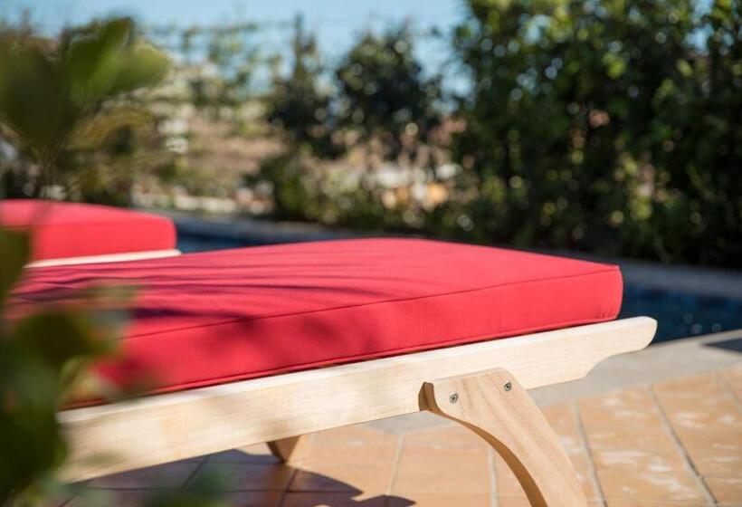 ホテル Cappuccino   Palma