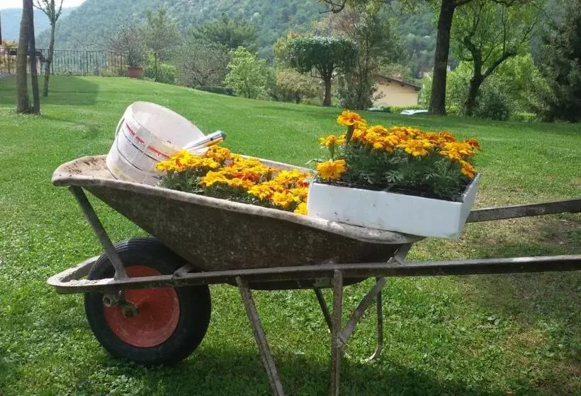 هتل Colomber