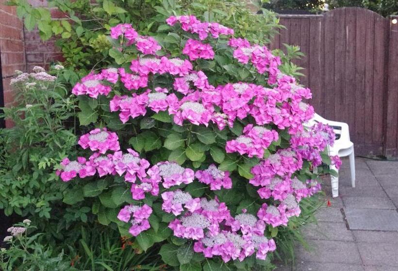 בית מלון כפרי Eastmount Hall