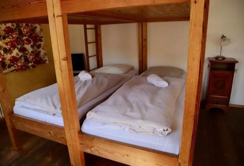 هتل Schwarzer Adler Sillian