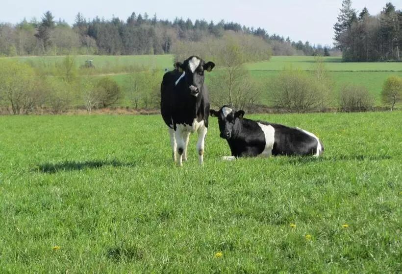 Vestervang Bed & Breakfast